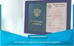Как получить сведения из электронной трудовой?