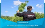 Оперативно-профилактическая операция "Мак – 2021"