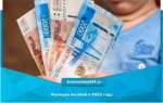 Размеры пособий в 2022 году